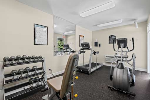 A gym with a variety of equipment including a treadmill, a stationary bike, a rowing machine, and a bench press.