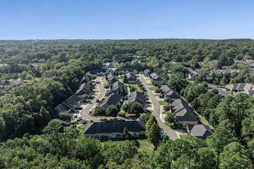 A bird's eye view of a residential neighborhood with houses surrounded by trees.