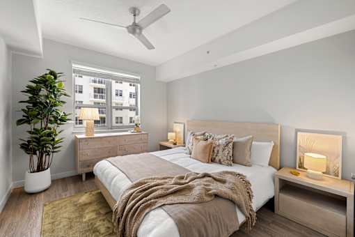 A bedroom with a large bed, a ceiling fan, and a potted plant.