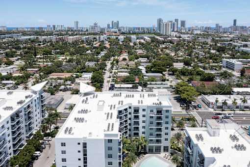 A cityscape with buildings and palm trees.