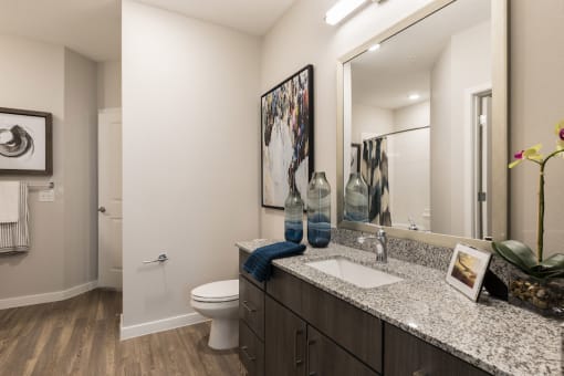 large bathroom with granite vanity, large mirror, light kit, and wood-style floor