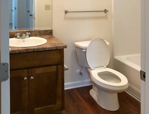 upgraded bathroom with plank flooring and granite look countertops