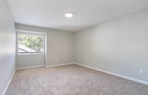 a bedroom with a large closet, carpeted floor, and overhead lighting at The Onyx Hoover