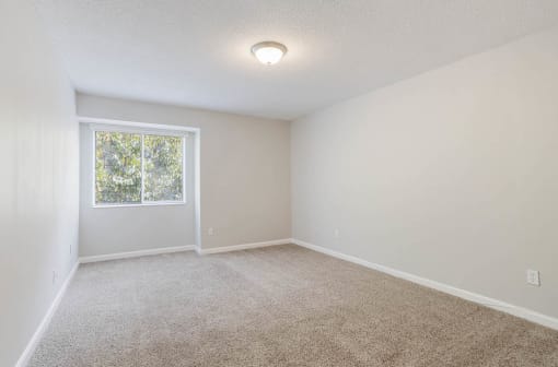 spacious bedroom with a large window and carpeted floor in an Onyx Hoover Apartment