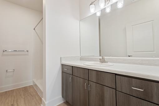 a bathroom with a sink and a mirror and a shower