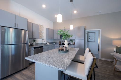 An apartment with stainless steel appliances at Canopy Park Apartments in Pelham at Canopy Park Apartments, Pelham, AL