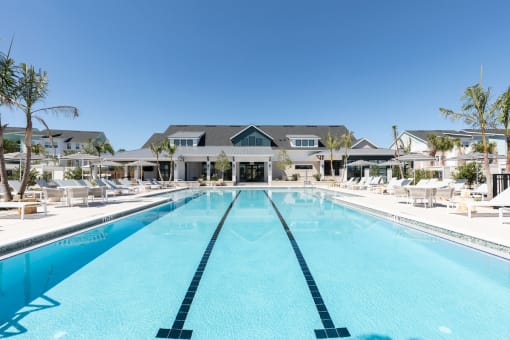 a large swimming pool, sundeck with chairs and palms, and Concorde clubhouse