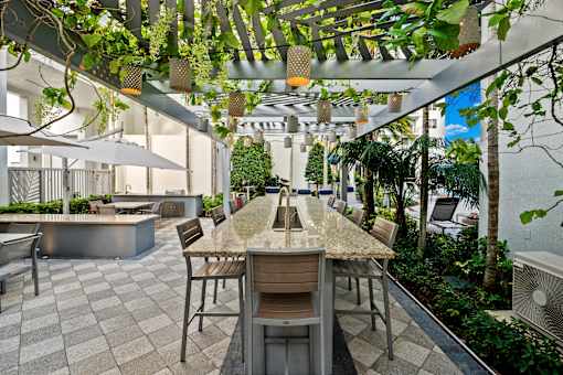 A patio with a table and chairs under a canopy of leaves.