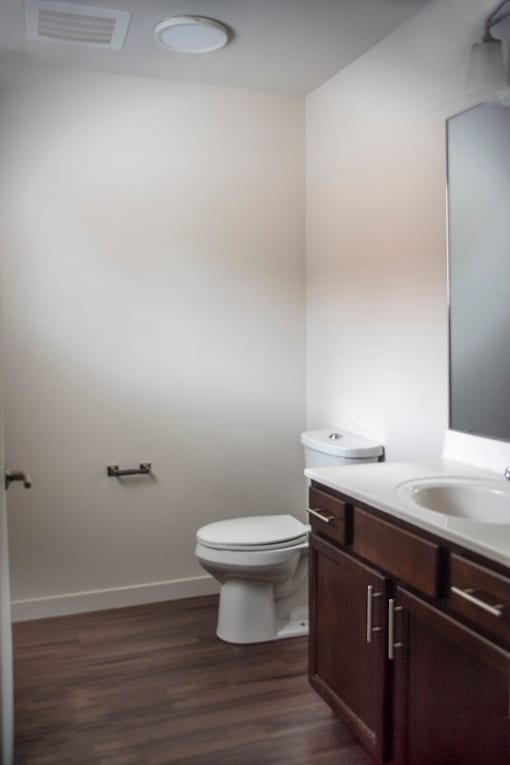 a bathroom with a toilet and a sink and a mirror