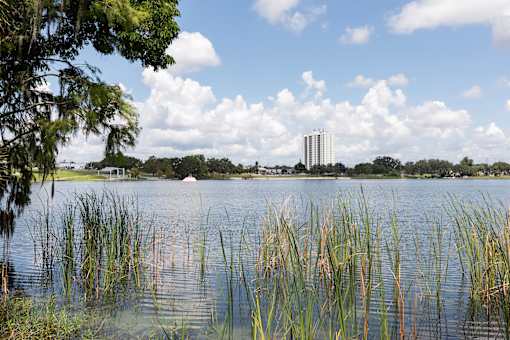 A body of water with a building in the background and trees in the foreground.
