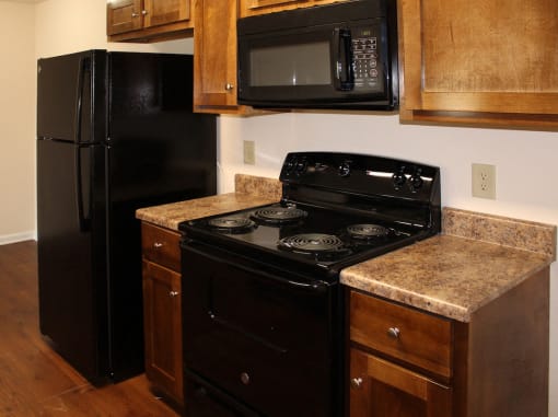 kitchen with efficient black appliances