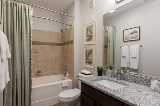 a bathroom with a sink toilet and shower and a tub