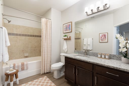 a bathroom with a shower toilet and a sink and a mirror