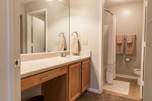 A bathroom with a white sink and a mirror.