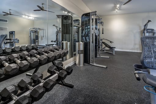 Free weights and weight machines in fitness center at Terraces at Clearwater Beach, Clearwater, FL