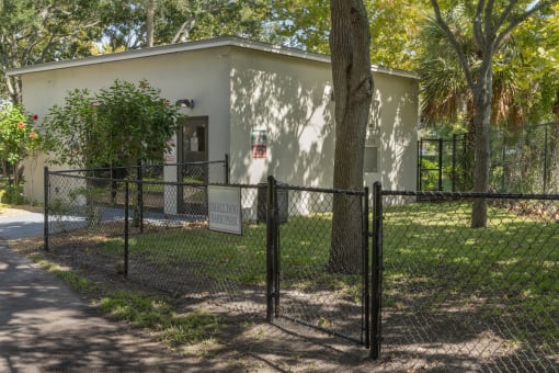 Dog Park at Terraces at Clearwater Beach, Florida, 33756