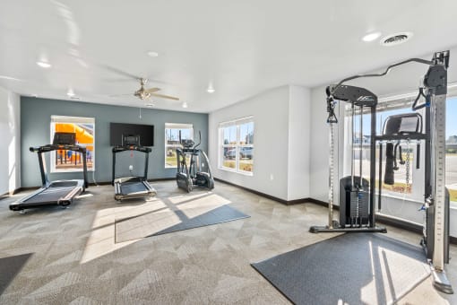 the gym in the owners home is equipped with weights and cardio equipment