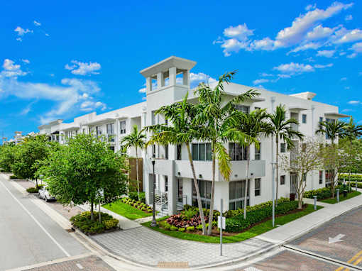 A white building with a palm tree in front of it.