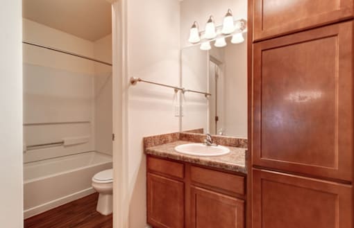 a bathroom with a sink and a toilet