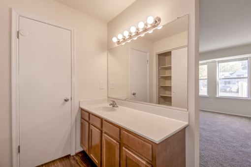 a bathroom with a sink and a mirror