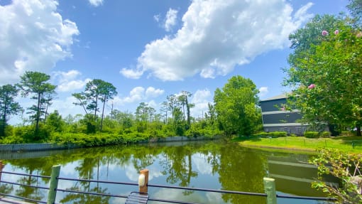 Lake views surrounded by native landscaping