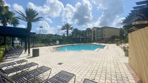 Swimming pool with lounge seating surrounded by palm trees