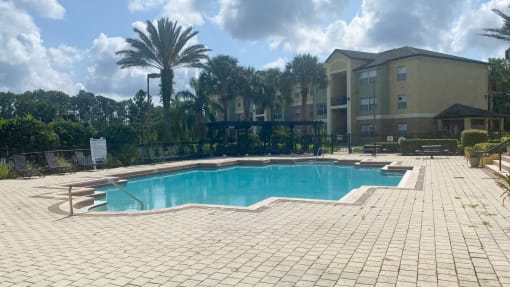 Swimming pool with lounge seating surrounded by palm trees