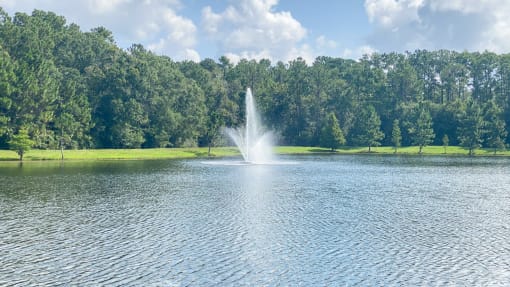 Lake with water fountain feature surrounded by native landscaping