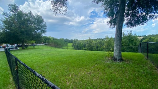 Fenced-in dog park with large grass area and trees in the background