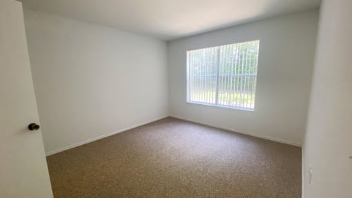 Carpeted Bedroom with single window