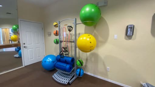 Fitness center with yoga balls, medicine balls, yoga mats, resistance bands and hand sanitizing  station