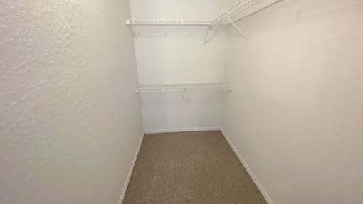 Walk-in closet with carpet flooring