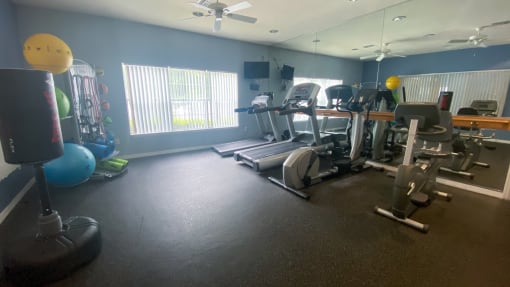 Fitness center with cardio equipment, resistant band training equipment, punching bag, large window for natural lighting, and multi speed ceiling fan