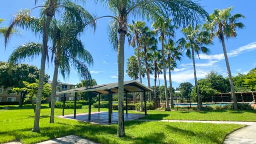 Covered Picnic Area Under Palm Trees in COurtyard