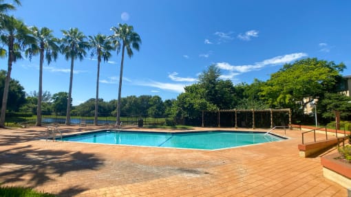 Swimming Pool and Sun Deck With Fence and Palm Trees