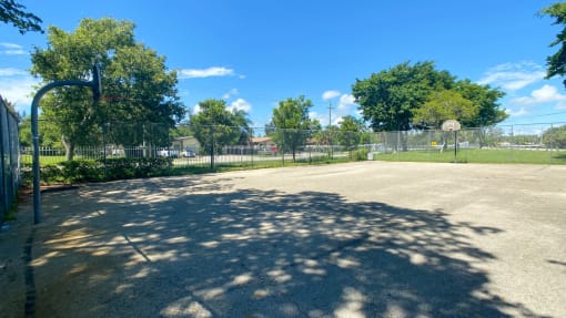 Fenced in Basketball Court Shaded by Trees