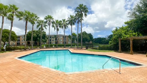 Swimming Pool and Sun Deck With Fence and Palm Trees