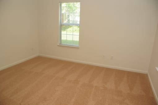 The vacant bedroom has wall to wall carpet and a standard window on one wall.
