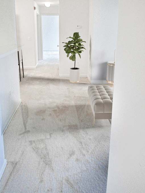 A room with a plant and a couch.