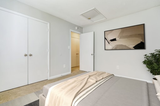 A virtually staged bedroom with gray walls, white trim, neutral carpet, a door leading to the hallway, and a set of double doors opening to a closet. It is staged with a queen bed with gray bedding and a light tan throw blanket, a gray area rug, a large green plant in the corner and a framed piece of art hanging on the wall.