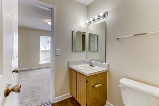 a bathroom with a sink and a mirror and a toilet