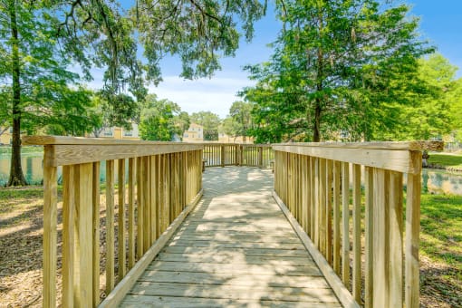 Wooden pathway bridge to a dock overlooking the lake with native landscape surrounding