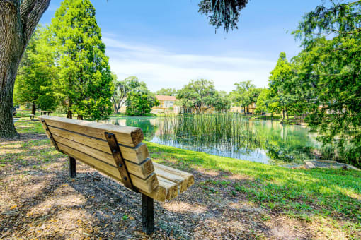 Scenic view of lake with wooden bench and lush green trees and other native landscape