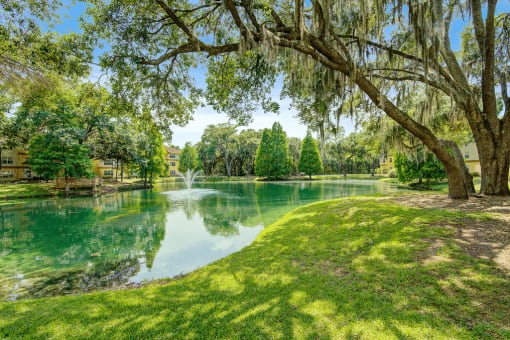 Scenic lake view with fountain with shady trees and native landscape.