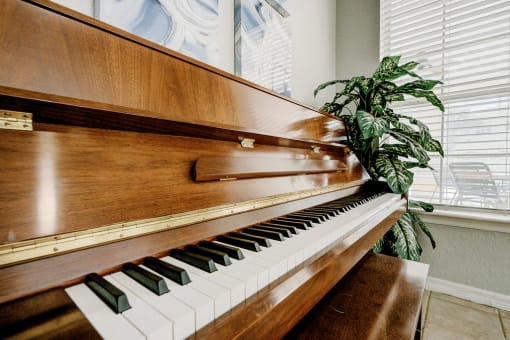 Wooden piano with large window and plant decor