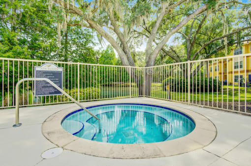Heated spa with native landscaping in backgound