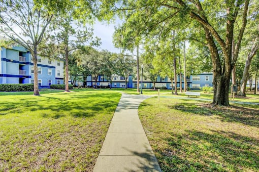 Walkway Through Courtyard Between Buildings Shaded by Trees