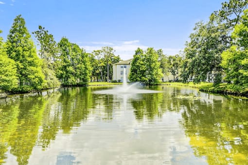 Scenic lake view with fountain and native landscaping