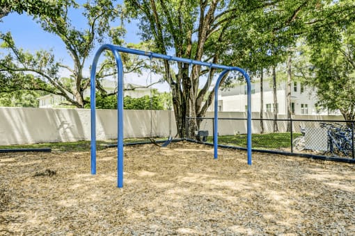 Blue swing set with native surrounding landscape