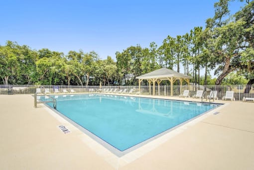 Swimming Pool with Lounge Seating on Sun Deck Surrounded By Trees